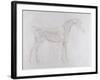 Illustration from 'The Anatomy of the Horse, Including a Particular Description of the Bones,…-George Stubbs-Framed Giclee Print