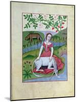 Illustration from the "Book of Simple Medicines" by Mattheaus Platearius (D.circa 1161) circa 1470-Robinet Testard-Mounted Giclee Print