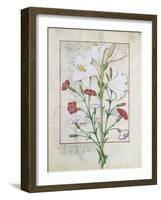 Illustration from the Book of Simple Medicines by Mattheaus Platearius-Robinet Testard-Framed Giclee Print