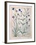 Illustration from the Book of Simple Medicines by Mattheaus Platearius-Robinet Testard-Framed Giclee Print