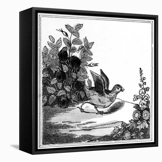 Illustration from the 'Remarkable Story of Chicken Little', 1840-null-Framed Stretched Canvas