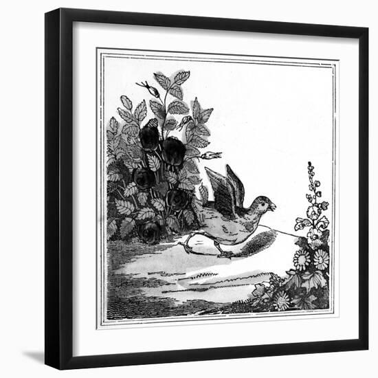 Illustration from the 'Remarkable Story of Chicken Little', 1840-null-Framed Giclee Print