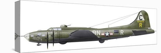 Illustration of a Boeing B-17F Knockout Dropper Aircraft-Stocktrek Images-Stretched Canvas