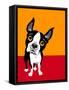 Illustration of a Boston Terrier Dog-TeddyandMia-Framed Stretched Canvas