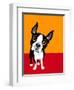 Illustration of a Boston Terrier Dog-TeddyandMia-Framed Art Print