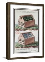 Illustration of a Chest of Drawers for Transporting Plants-Gaspard Duche de Vancy-Framed Giclee Print