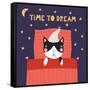 Illustration of a Cute Funny Sleeping Cat in a Nightcap-Maria Skrigan-Framed Stretched Canvas