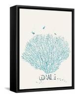 Illustration of a Fan Coral-Milovelen-Framed Stretched Canvas