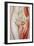 Illustration of a Femoral Hernia-John Bavosi-Framed Photographic Print