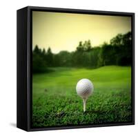 Illustration of a Golf Ball on a Green Meadow-olly2-Framed Stretched Canvas