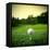 Illustration of a Golf Ball on a Green Meadow-olly2-Framed Stretched Canvas