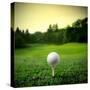 Illustration of a Golf Ball on a Green Meadow-olly2-Stretched Canvas