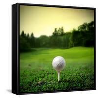 Illustration of a Golf Ball on a Green Meadow-olly2-Framed Stretched Canvas