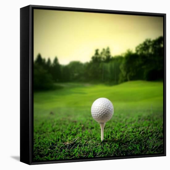 Illustration of a Golf Ball on a Green Meadow-olly2-Framed Stretched Canvas