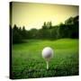 Illustration of a Golf Ball on a Green Meadow-olly2-Stretched Canvas