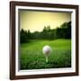 Illustration of a Golf Ball on a Green Meadow-olly2-Framed Photographic Print