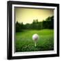 Illustration of a Golf Ball on a Green Meadow-olly2-Framed Photographic Print