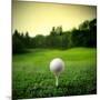 Illustration of a Golf Ball on a Green Meadow-olly2-Mounted Photographic Print