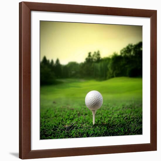 Illustration of a Golf Ball on a Green Meadow-olly2-Framed Photographic Print