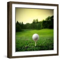 Illustration of a Golf Ball on a Green Meadow-olly2-Framed Photographic Print