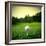 Illustration of a Golf Ball on a Green Meadow-olly2-Framed Photographic Print