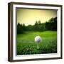 Illustration of a Golf Ball on a Green Meadow-olly2-Framed Photographic Print