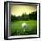 Illustration of a Golf Ball on a Green Meadow-olly2-Framed Photographic Print