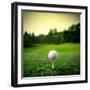 Illustration of a Golf Ball on a Green Meadow-olly2-Framed Photographic Print