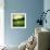 Illustration of a Golf Ball on a Green Meadow-olly2-Framed Photographic Print displayed on a wall