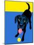 Illustration of a Happy Playful Black Labrador Retriever-TeddyandMia-Mounted Art Print