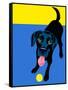 Illustration of a Happy Playful Black Labrador Retriever-TeddyandMia-Framed Stretched Canvas