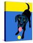 Illustration of a Happy Playful Black Labrador Retriever-TeddyandMia-Stretched Canvas