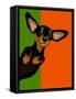 Illustration Of A Happy Playful Dachchund-TeddyandMia-Framed Stretched Canvas