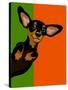 Illustration Of A Happy Playful Dachchund-TeddyandMia-Stretched Canvas