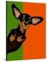 Illustration Of A Happy Playful Dachchund-TeddyandMia-Stretched Canvas