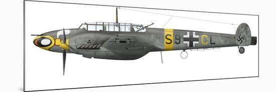 Illustration of a Messerschmitt Bf-110D of the German Air Force-Stocktrek Images-Mounted Premium Giclee Print