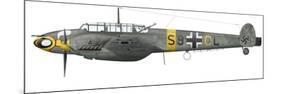 Illustration of a Messerschmitt Bf-110D of the German Air Force-Stocktrek Images-Mounted Premium Giclee Print