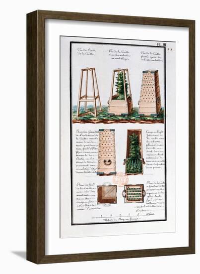 Illustration of a Special Cabinet for Transporting Shrubs and Bushes-Gaspard Duche de Vancy-Framed Giclee Print