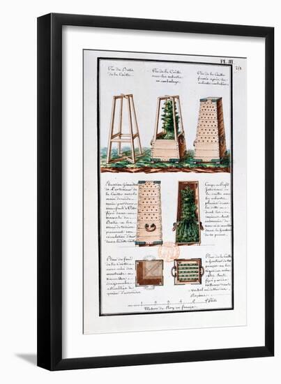 Illustration of a Special Cabinet for Transporting Shrubs and Bushes-Gaspard Duche de Vancy-Framed Giclee Print