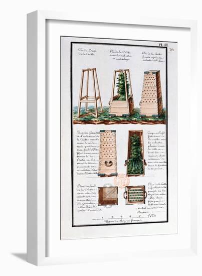 Illustration of a Special Cabinet for Transporting Shrubs and Bushes-Gaspard Duche de Vancy-Framed Giclee Print