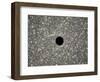 Illustration of a Supermassive Black Hole in the Middle of a Dense Galaxy-null-Framed Art Print