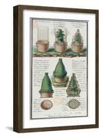 Illustration of a Woven Basket for Transporting Plants-Gaspard Duche de Vancy-Framed Giclee Print