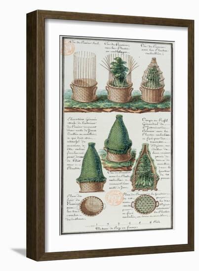 Illustration of a Woven Basket for Transporting Plants-Gaspard Duche de Vancy-Framed Giclee Print