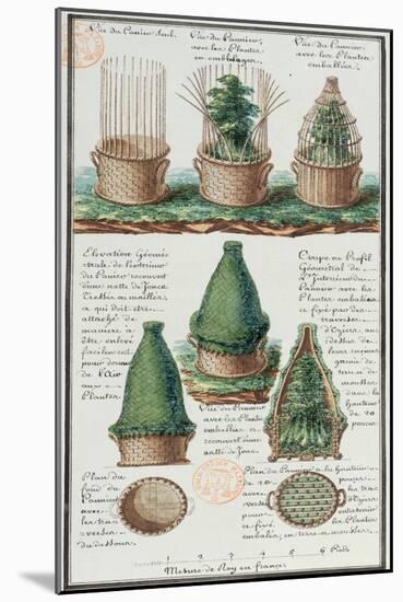 Illustration of a Woven Basket for Transporting Plants-Gaspard Duche de Vancy-Mounted Giclee Print