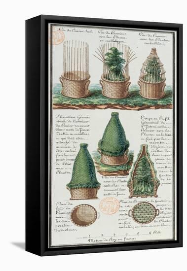 Illustration of a Woven Basket for Transporting Plants-Gaspard Duche de Vancy-Framed Stretched Canvas