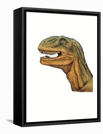 Illustration of Allosaurus, Close Up of Head-null-Framed Stretched Canvas