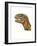 Illustration of Allosaurus, Close Up of Head-null-Framed Giclee Print