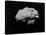 Illustration of an Asteroid in Outer Space-null-Stretched Canvas