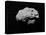 Illustration of an Asteroid in Outer Space-null-Stretched Canvas