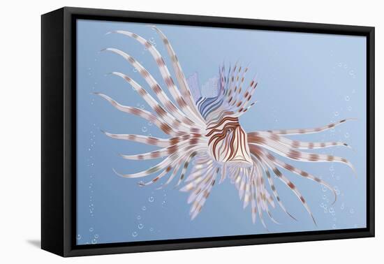 Illustration of an Exotic Lion Fish Swimming Underwater-Milovelen-Framed Stretched Canvas